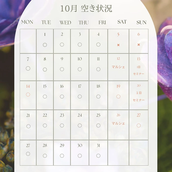 画像256