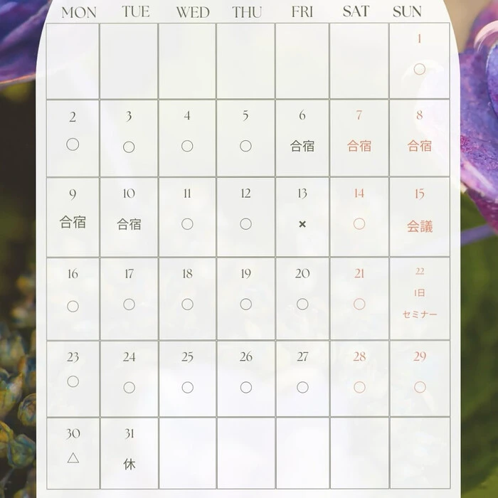 画像265