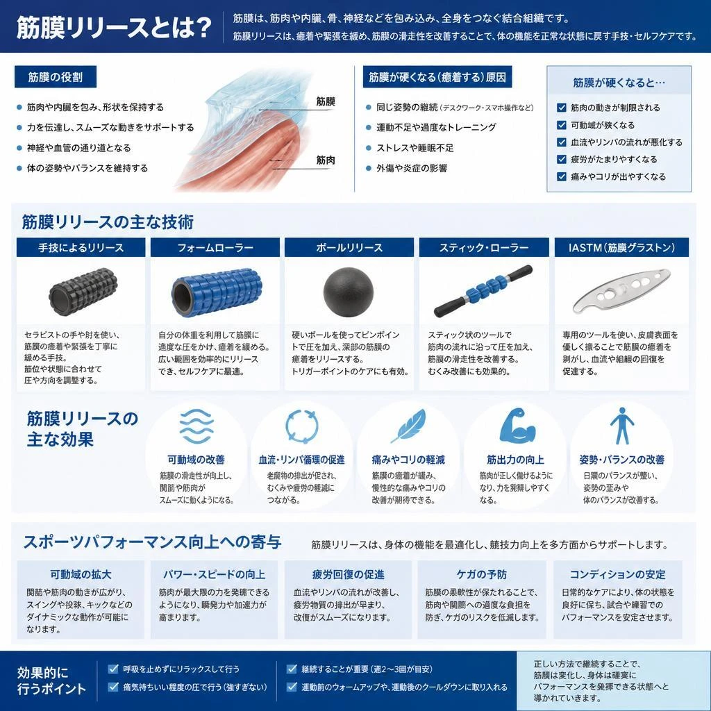 4. 筋膜リリースで柔軟性を向上